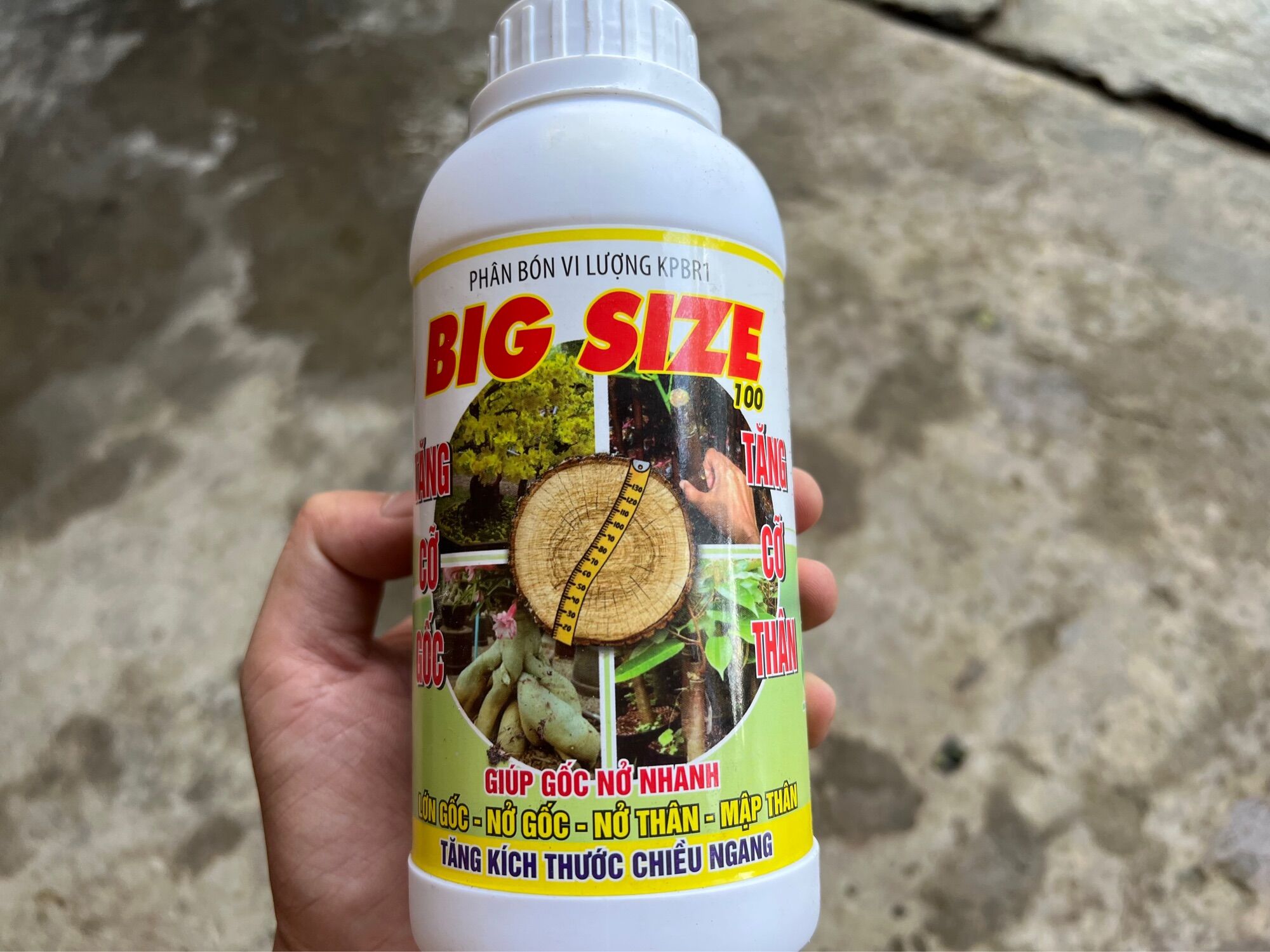 Phân bón mập thân nở gốc mập cọng dưỡng rễ to đế big size 500ml