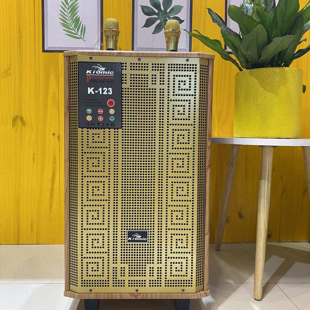 Loa karaoke bluetooth Kiomic K123