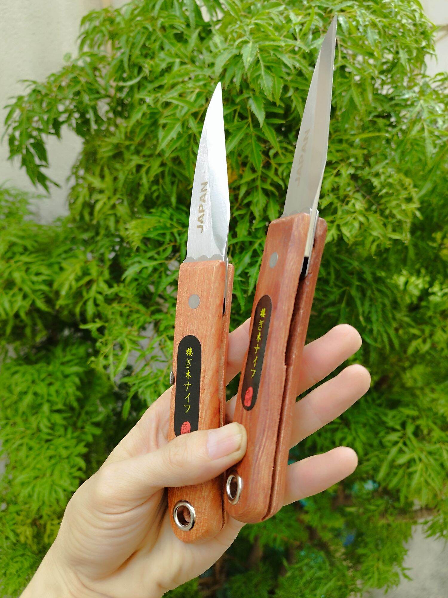 Dao nhật cắt ghép cành cây