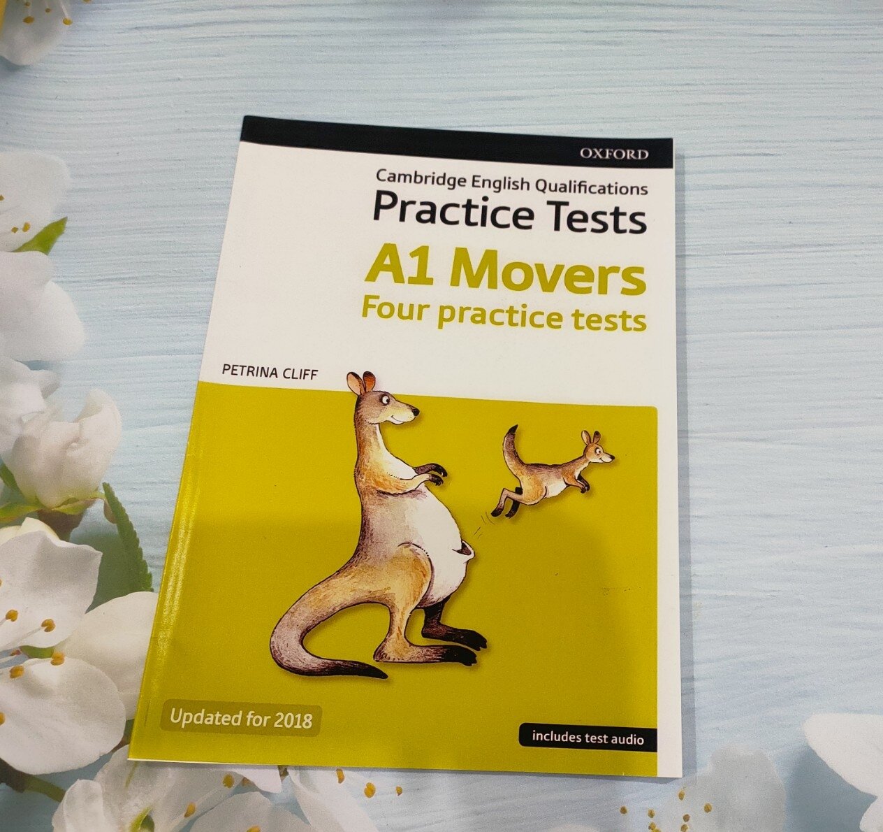 A1 Movers - Practice tests, in màu