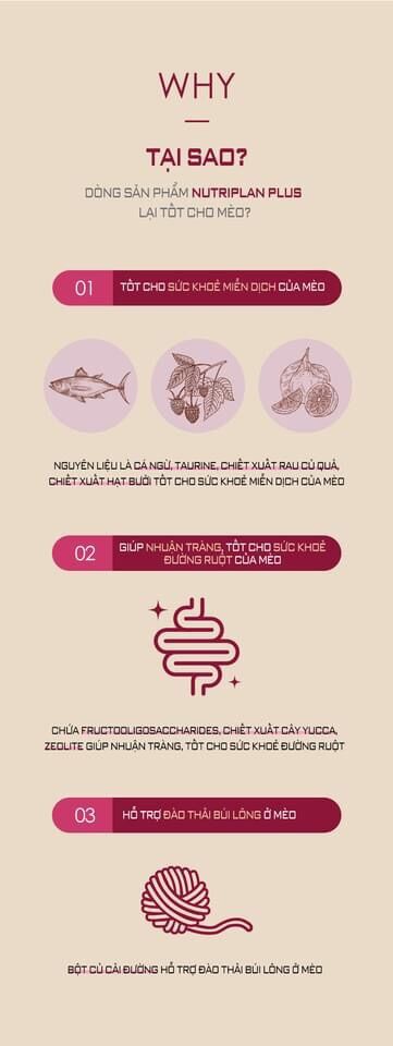 Hạt Nutri Plan 5kg