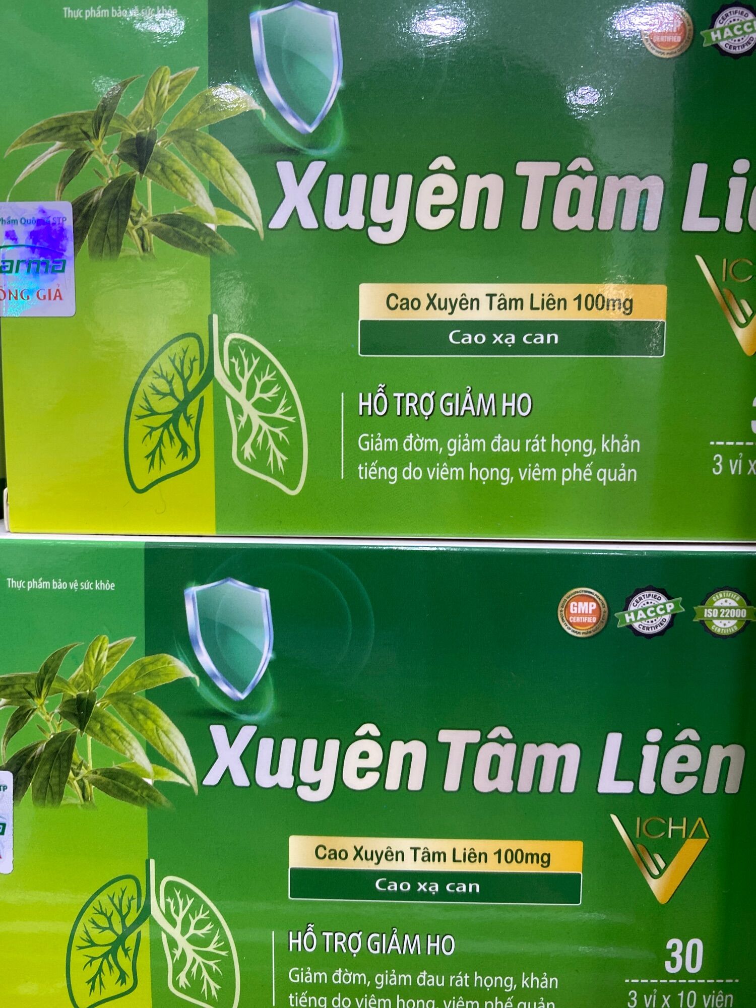 Xuyên tâm liên