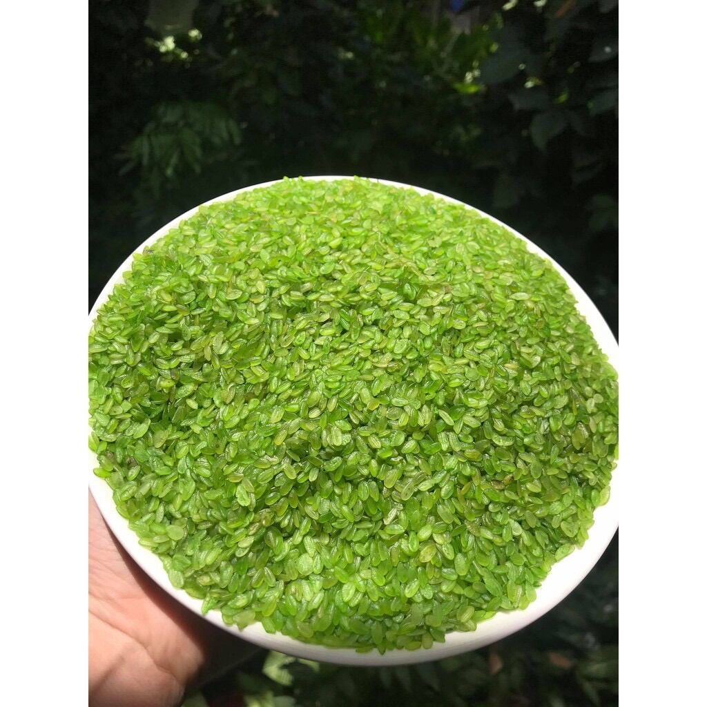 Cốm xanh khô Tây Bắc thơm dẻo đóng gói 1kg