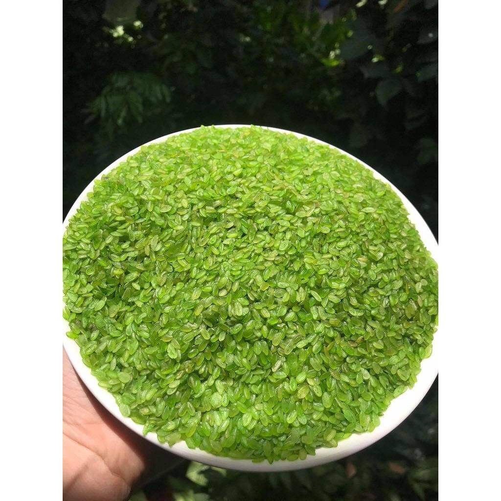 Cốm xanh khô Tây Bắc thơm dẻo đóng gói 1kg