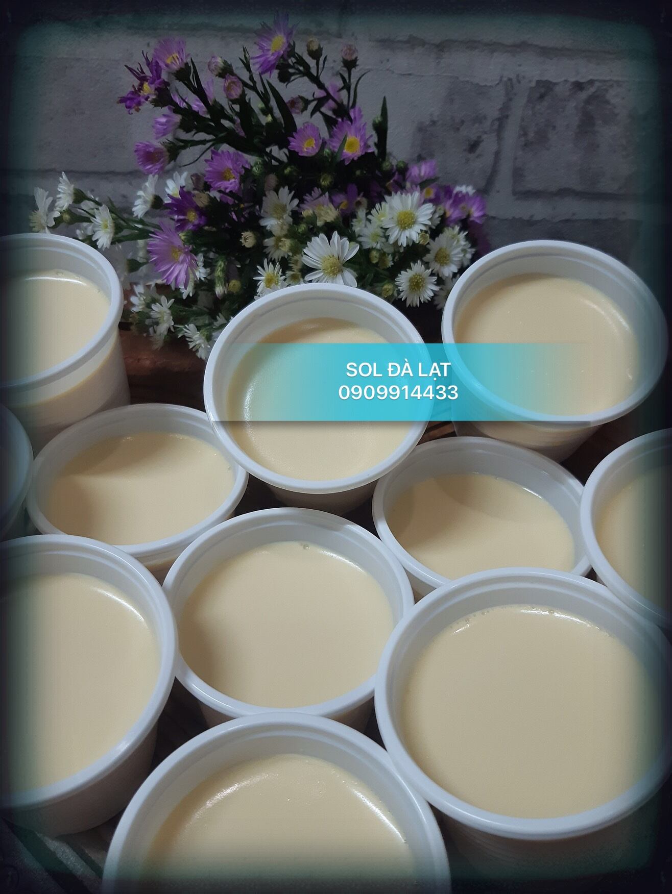 YAOURT PHÔ MAI SOL ĐÀ LẠT