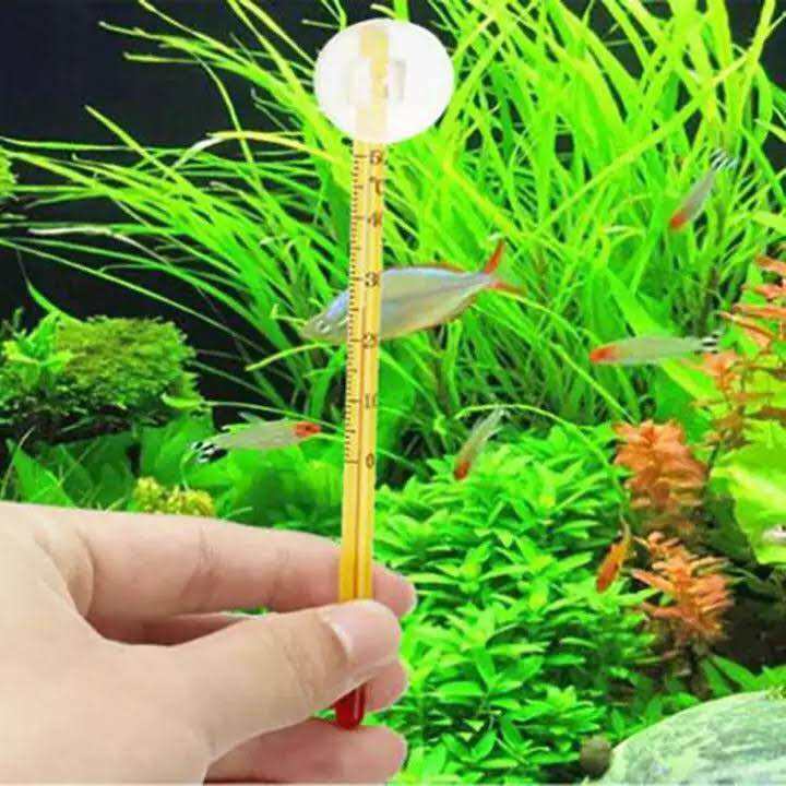 Nhiệt kế que đo nhiệt độ hồ cá