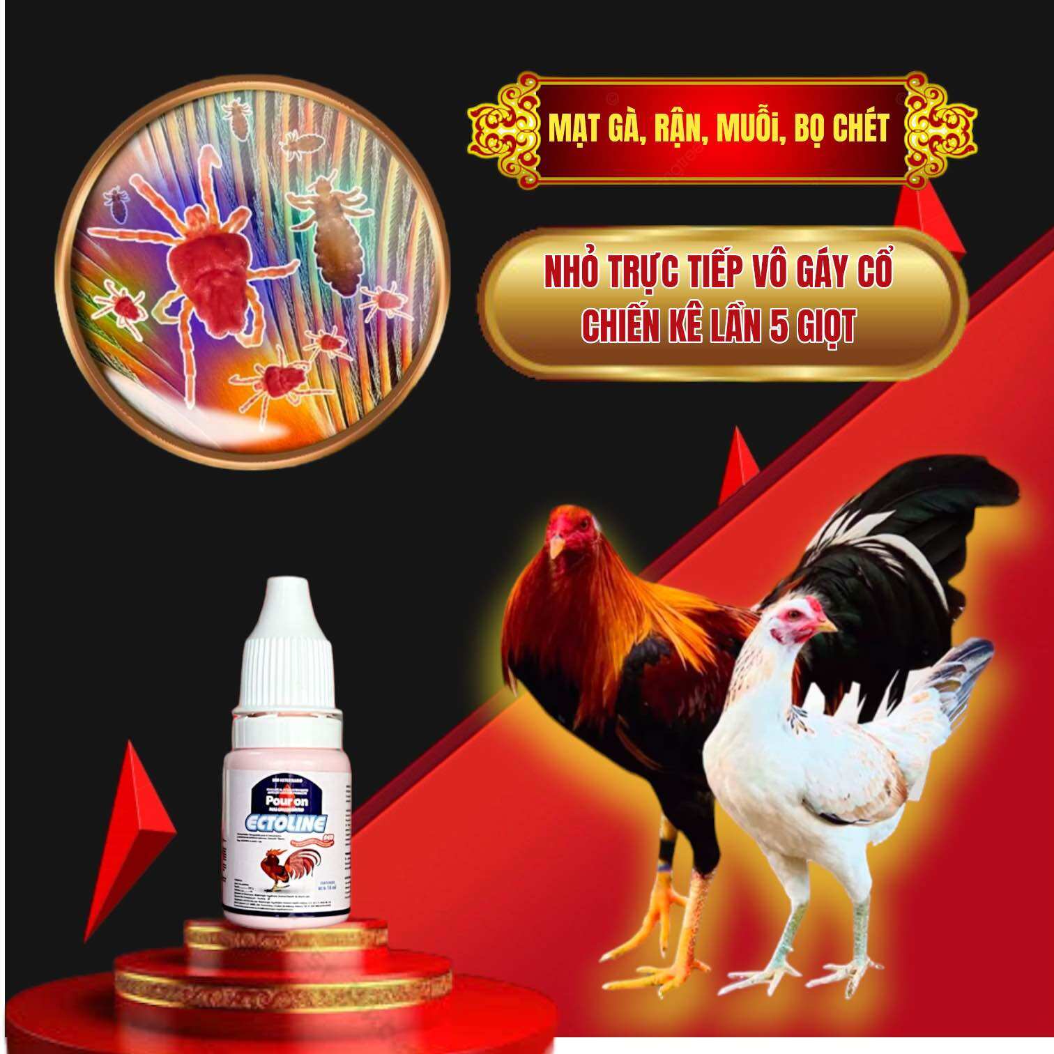 Ectoline - 10ml Nhỏ gáy diệt mạt gà dành cho gà đá