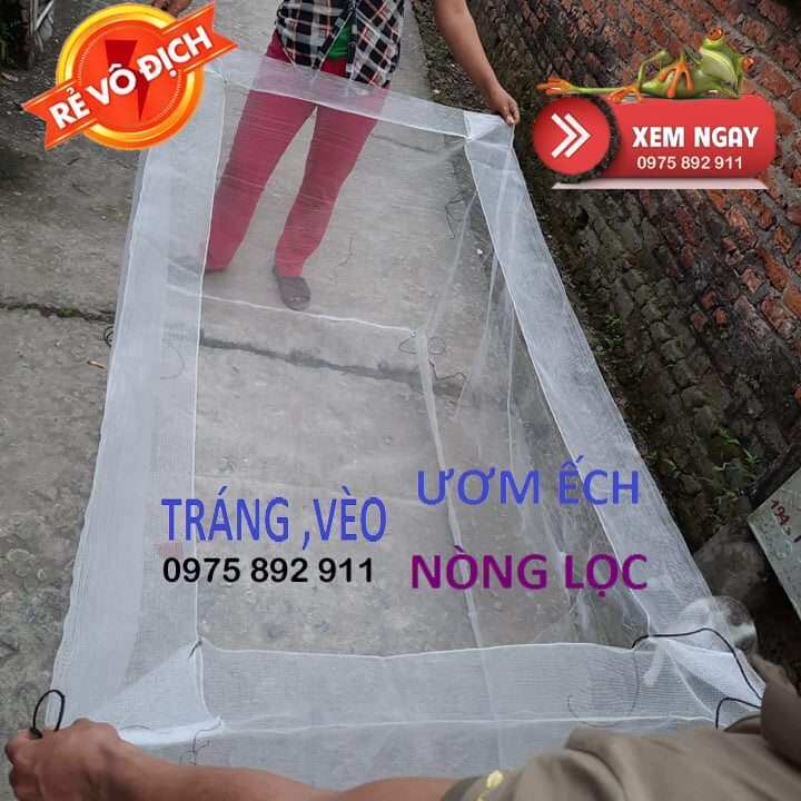 lồng - tráng nuôi ếch - cho người tập nuôi