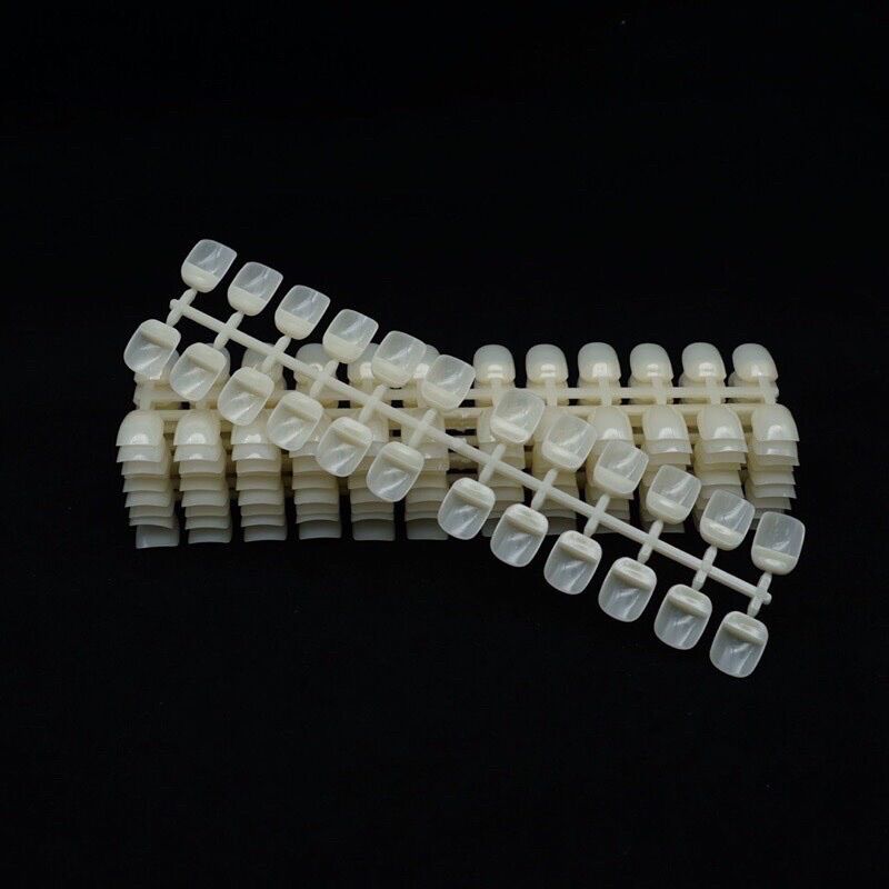 Móng Mẫu Hàn 240 Móng , Set MóngTập Sơn ,Vẽ Mẫu,Móng vĩ 240 Móng