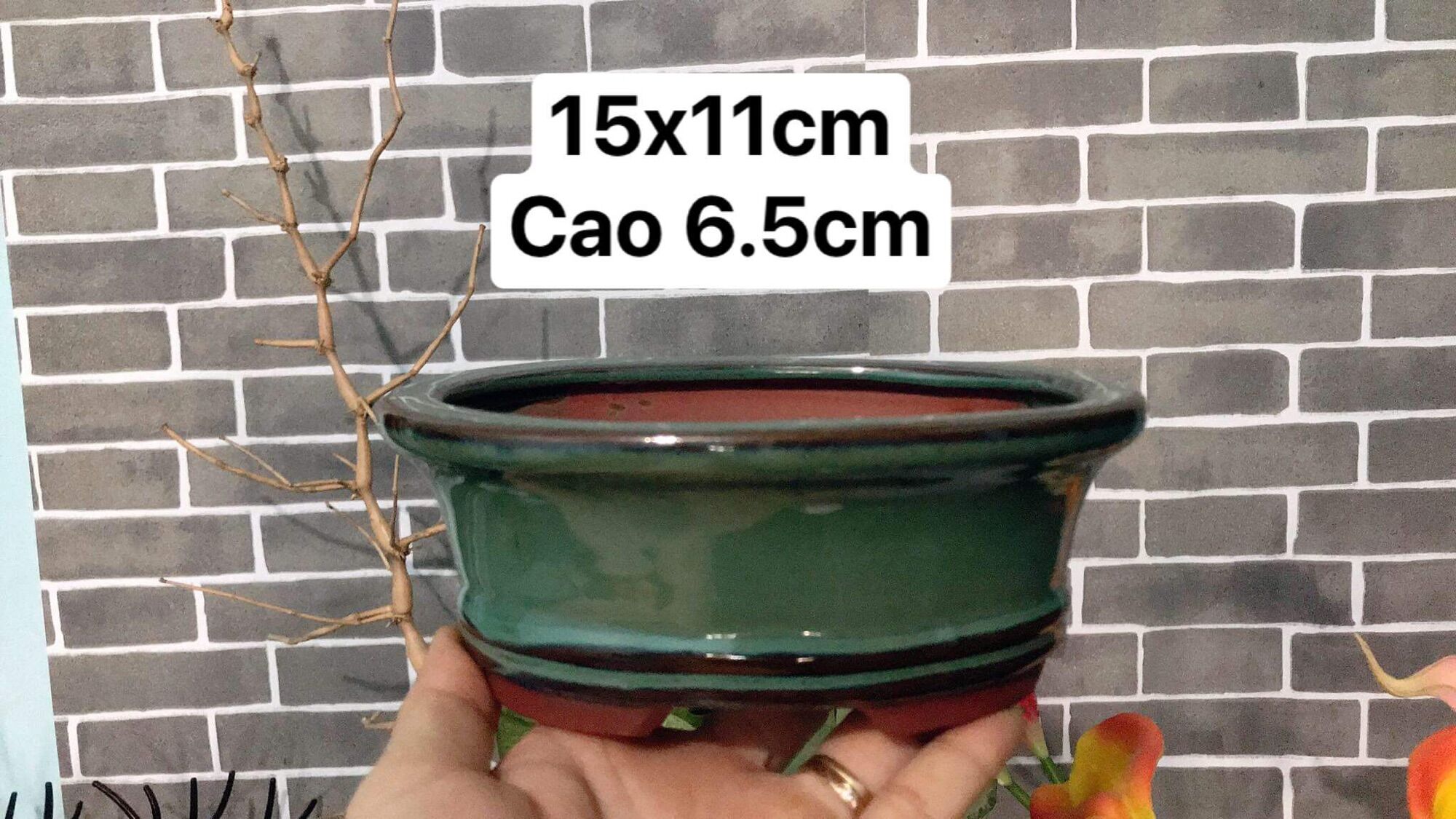Chậu sứ trồng cây hình oval