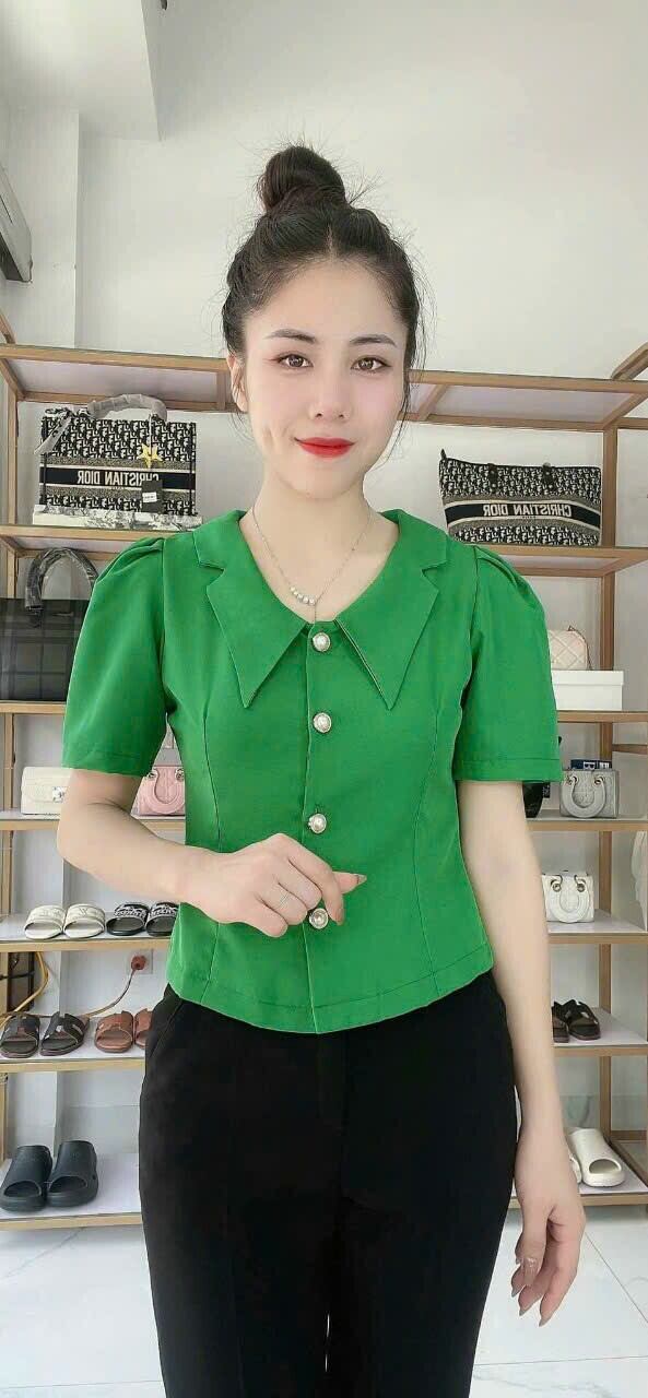 áo kiểu Nữ Công Sở đẹp