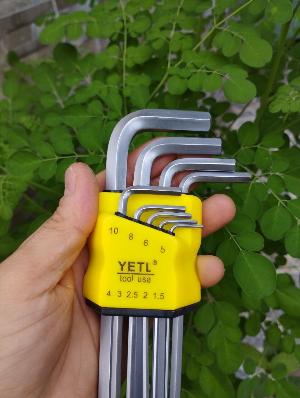 Bộ lục giác Bi hoặc Hoa Thị Yeti