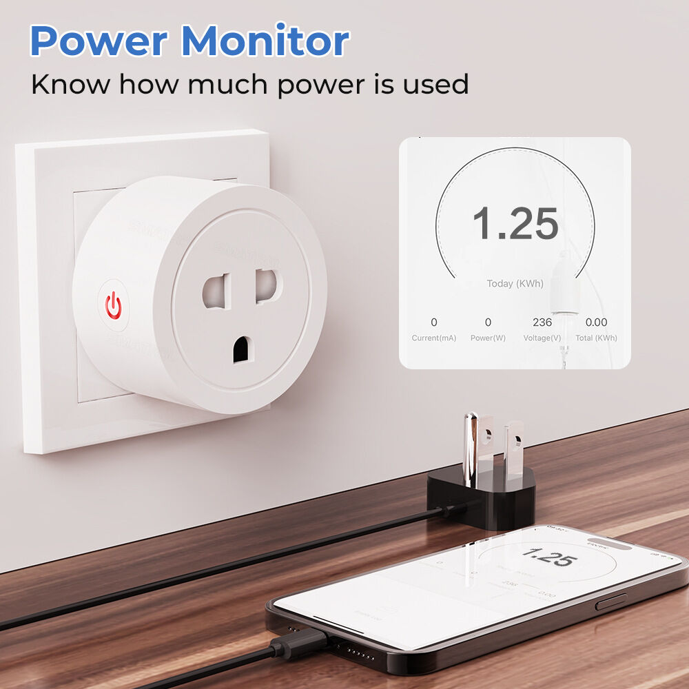 Ổ cắm điện hẹn giờ wifi Smart Life,Tuya  chịu tải 2000w