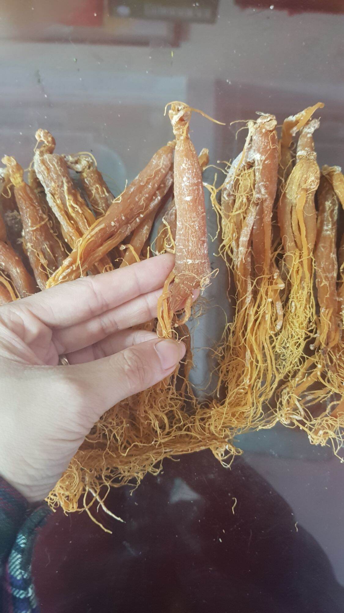100gr củ nhân sâm khô