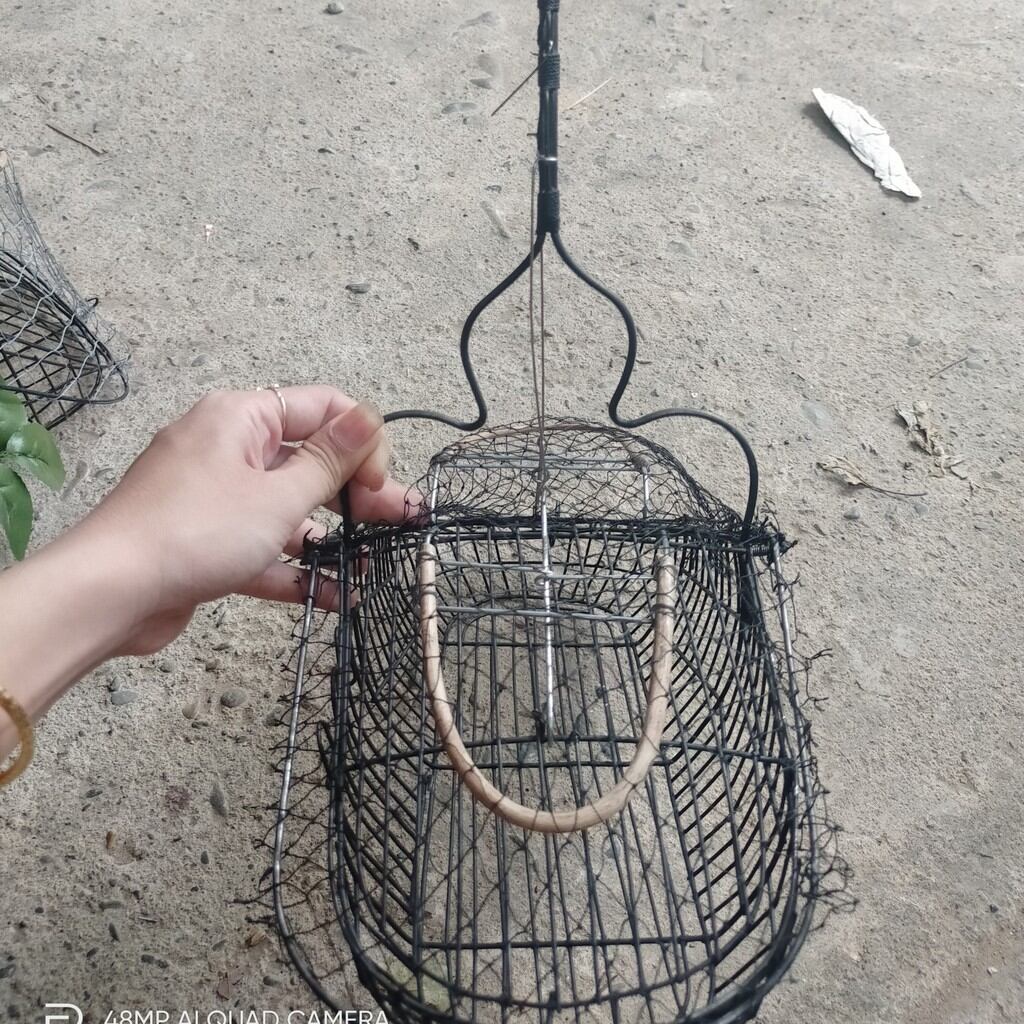 Lụp bẫy mào sâu, khuyên ,chòe