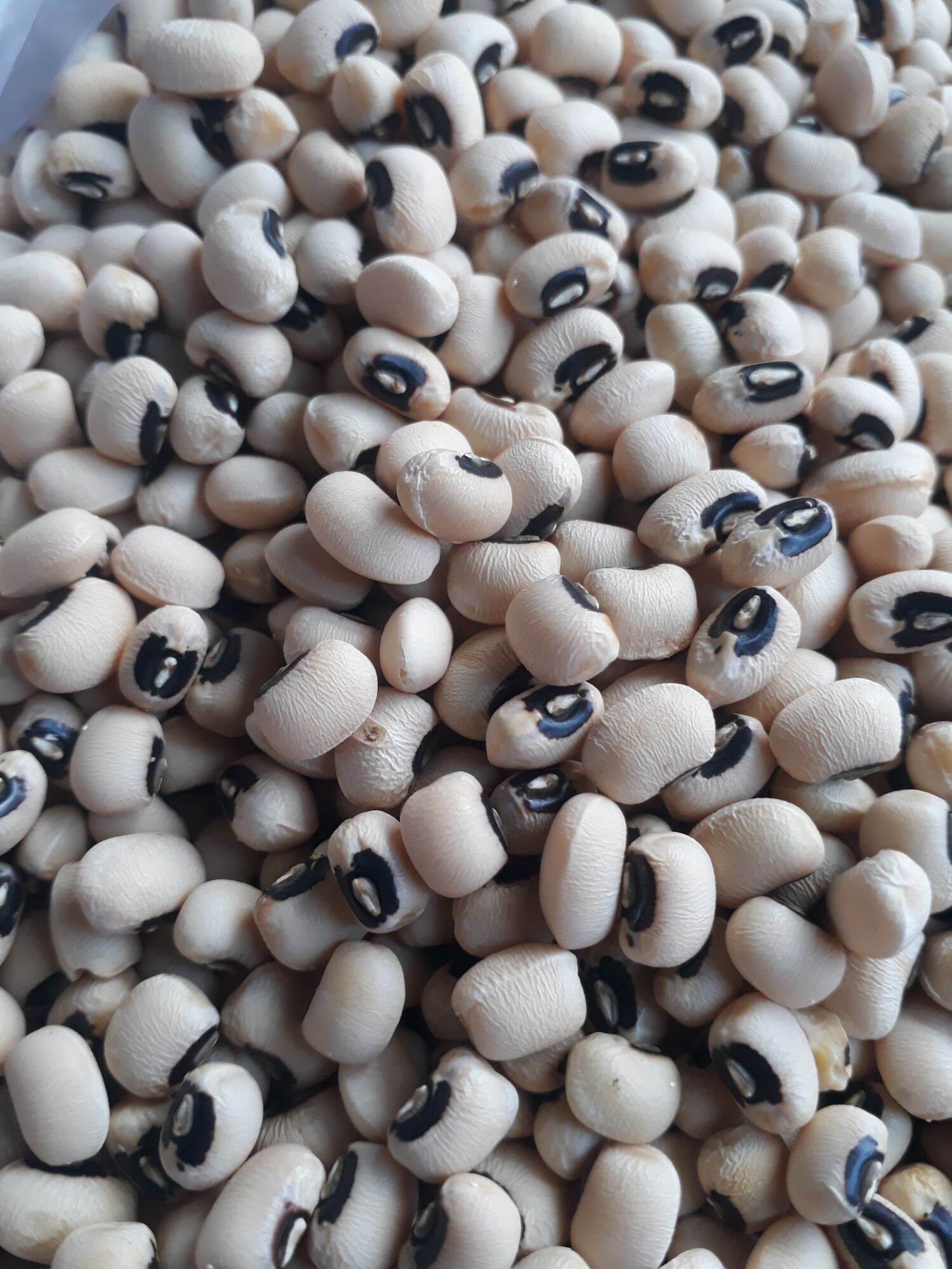 Đậu trắng mắt cua (đậu mắt đen) 500g