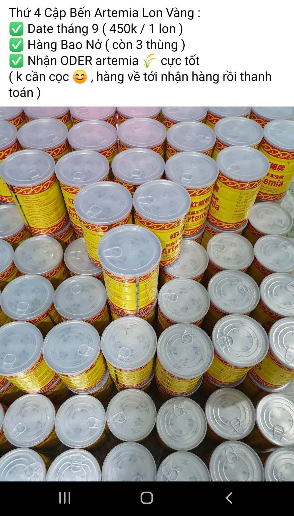 Artemia Ấp Nở Lon Vàng : Tỉ Lệ Nở Tốt
