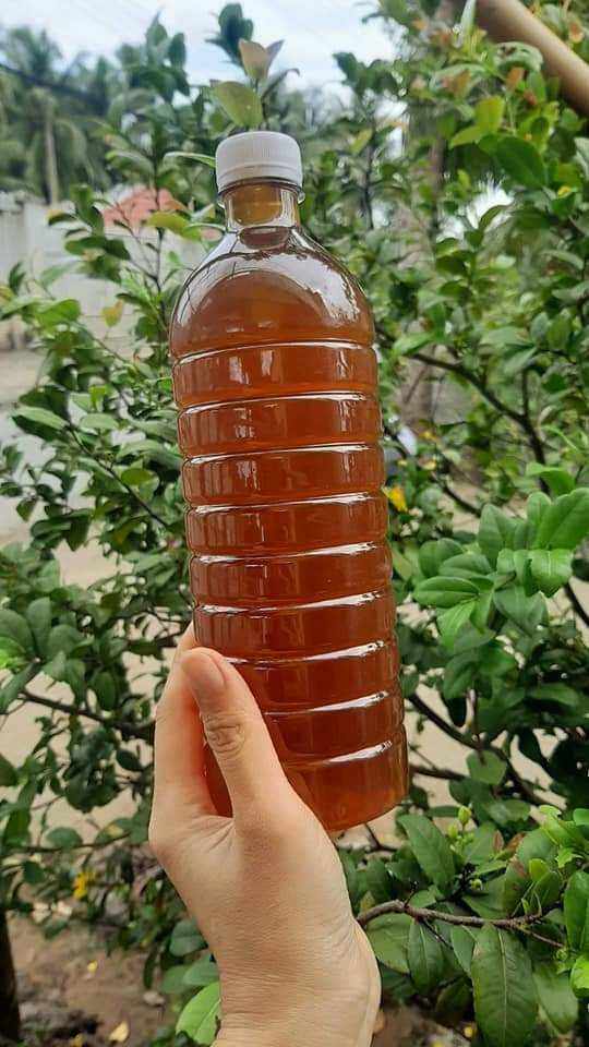 Mật ong nhãn nhà nuôi nguyên chất