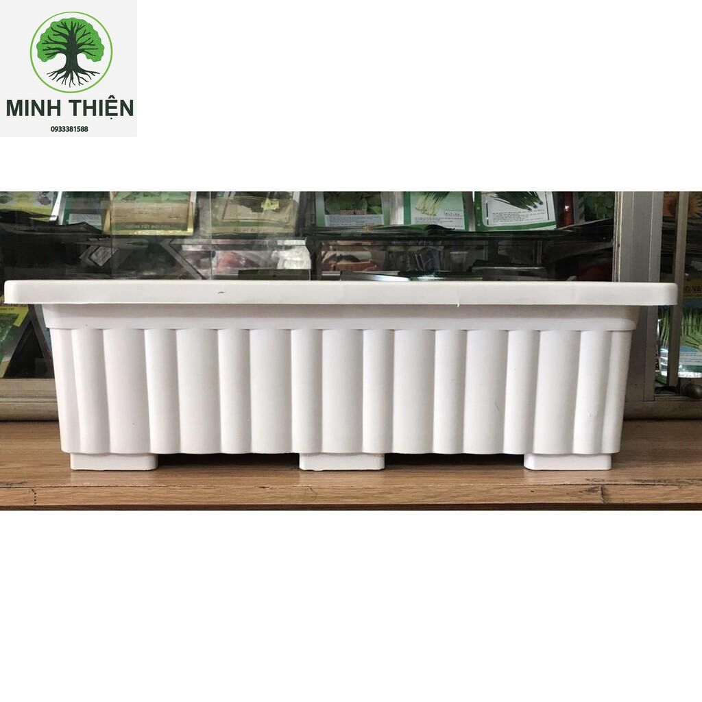Combo 5 Chậu nhựa trồng rau sạch 63x23x18