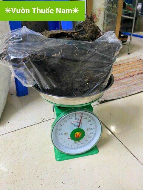 500 gam rễ lục bình phơi khô , rễ bèo tây phơi khô dùng làm chiết cành