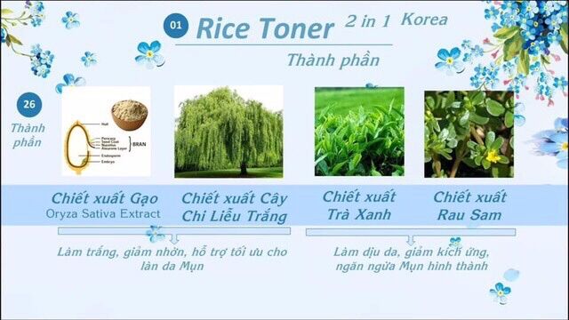 Rice Tonner AnThy - Nước hoa hồng xịt khoáng AnThy