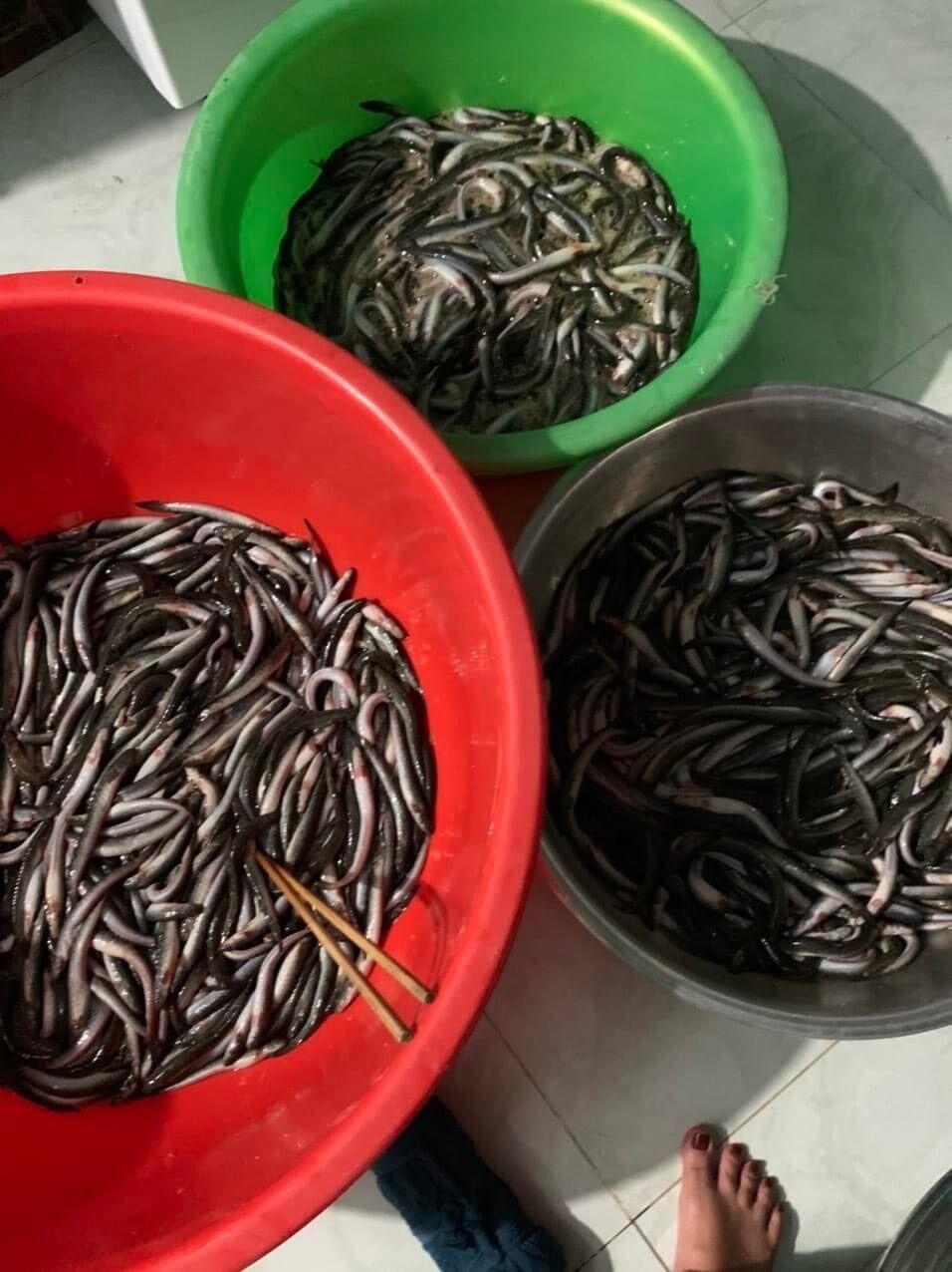 Khô cá kèo nhà làm 100g
