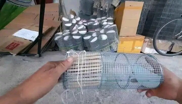 5 cái lợp đặt ếch, lưới bằng kẽm, hôm tre