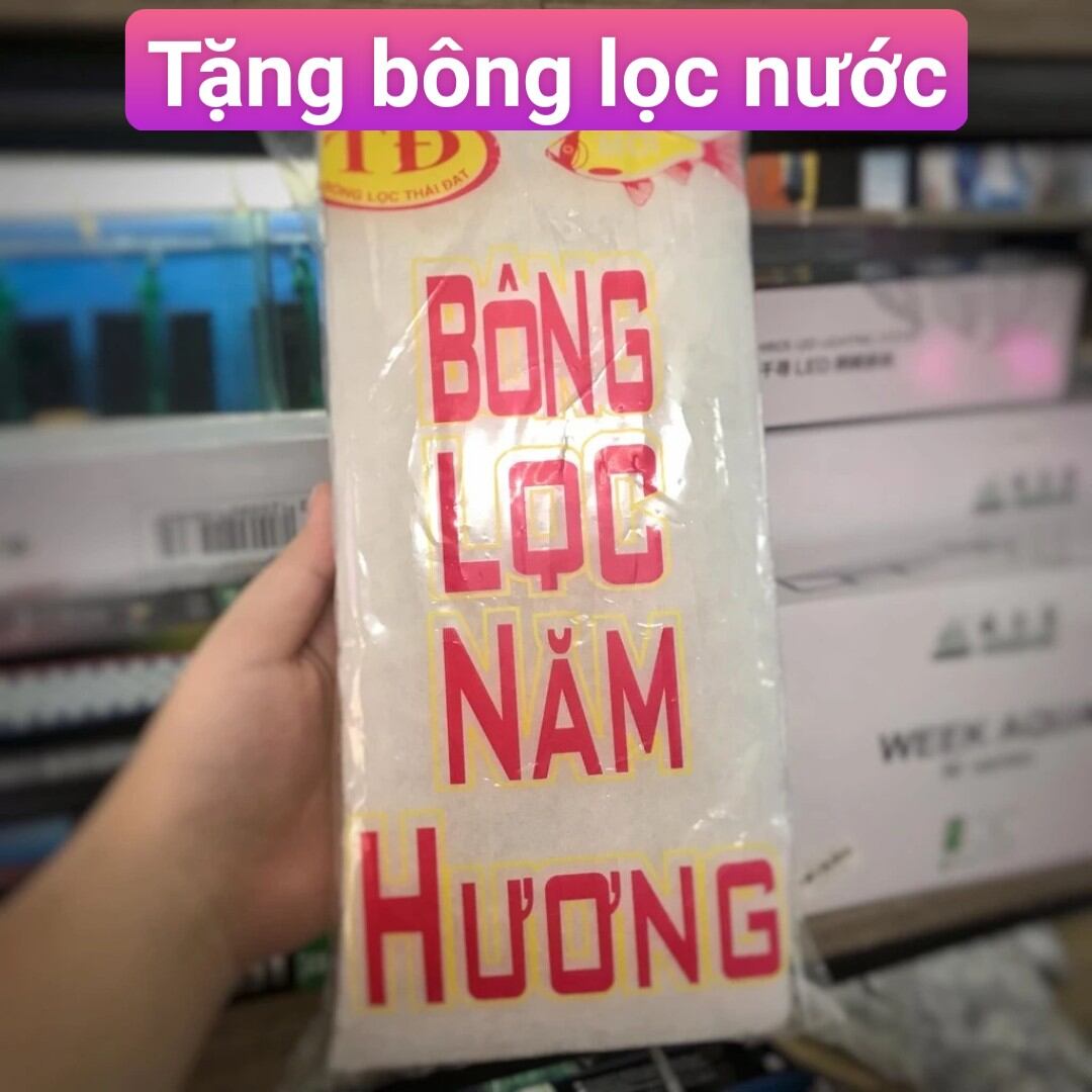Hòn Non Bộ Hồ Cá Có Thác Nước Sinh Động