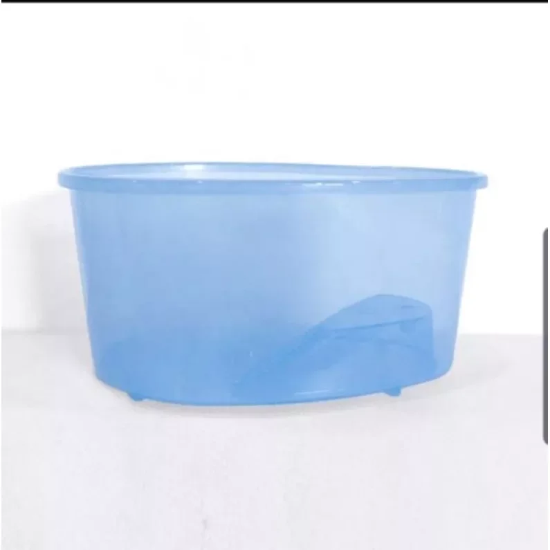 Bể nuôi rùa nhỏ