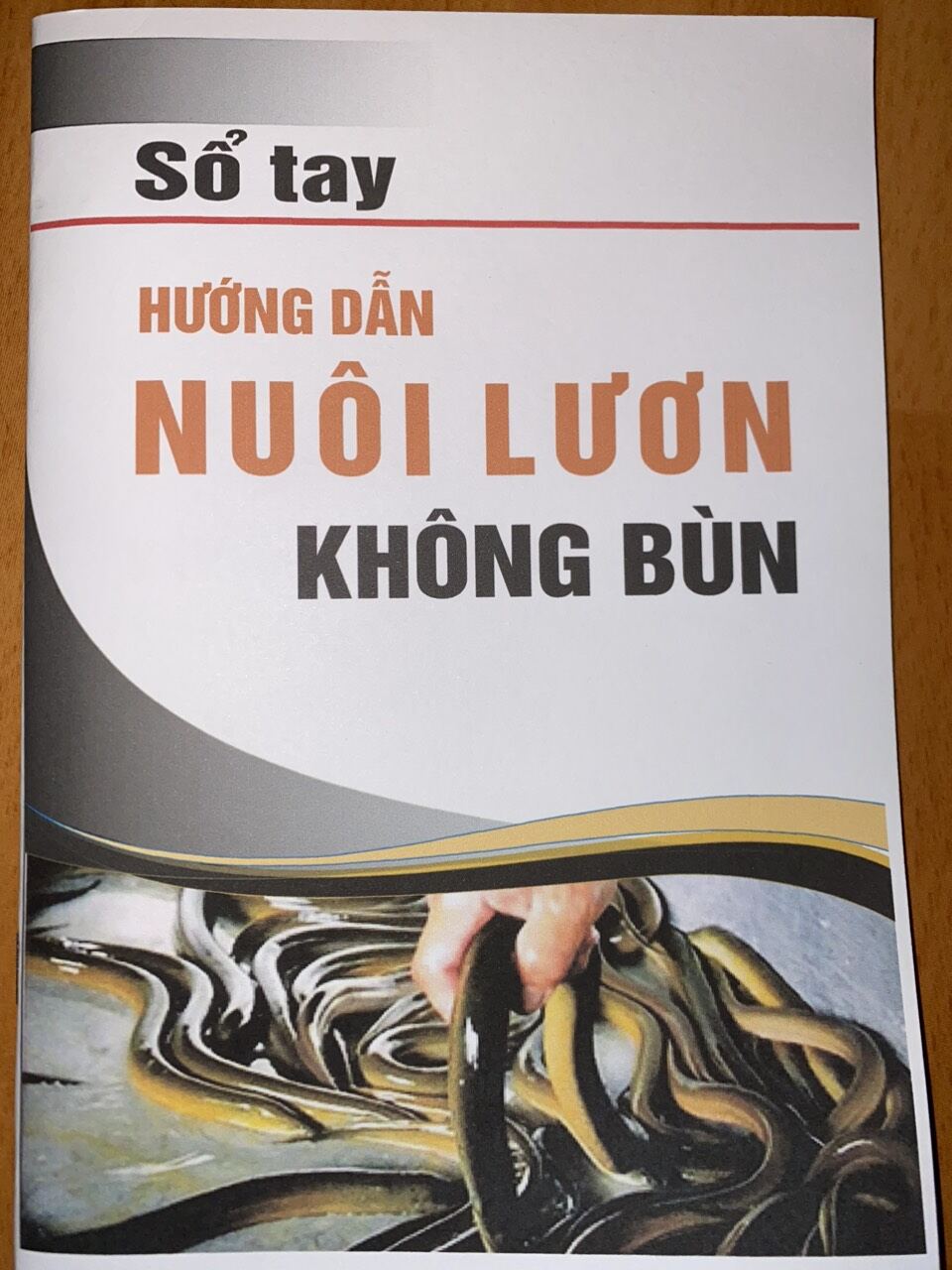 Sổ tay hướng dẫn nuôi lươn không bùn