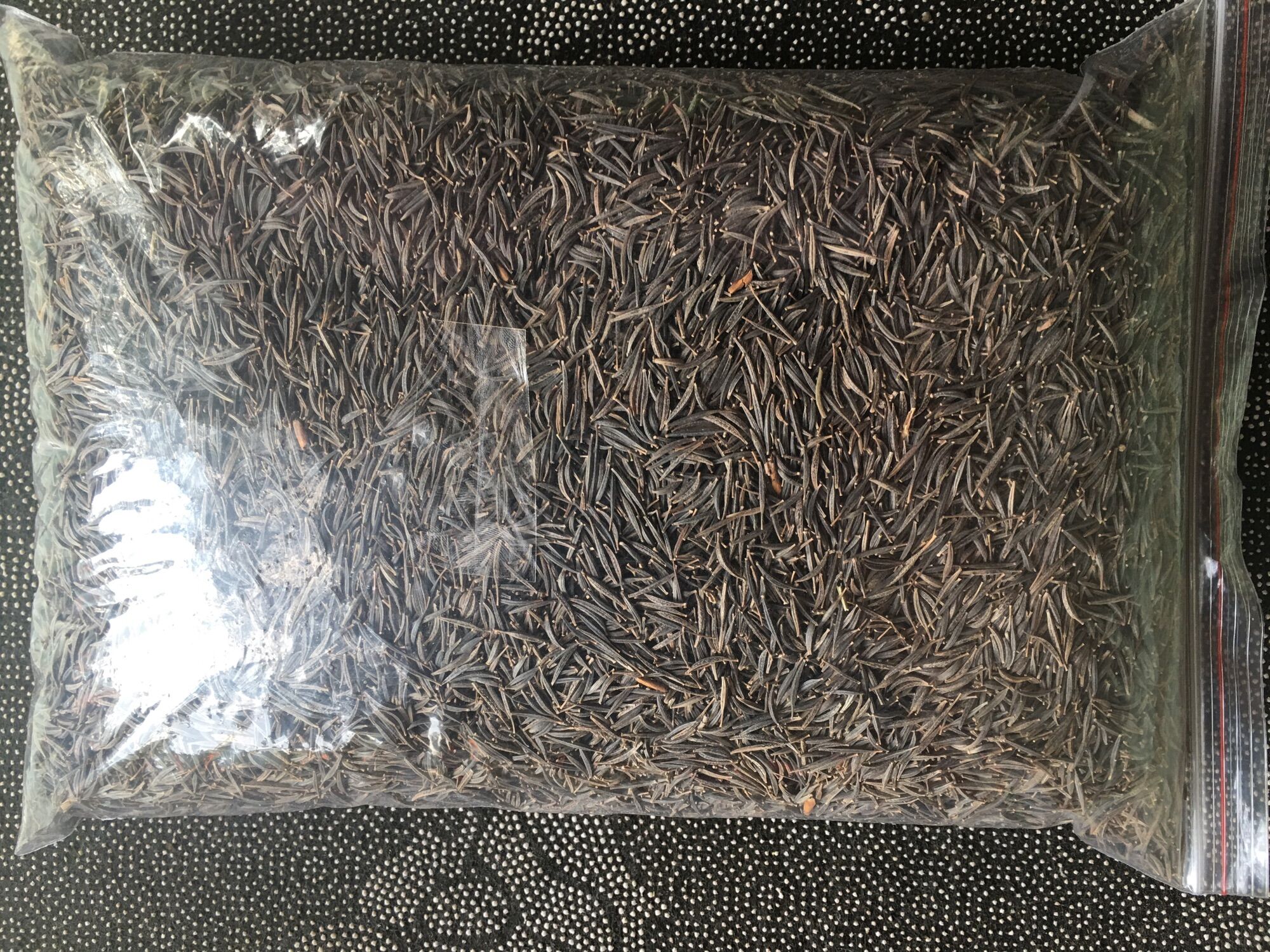 [ FREE SHIP 1kg] Hạt Giống Hoa Sao Nhái Mix Đủ Màu