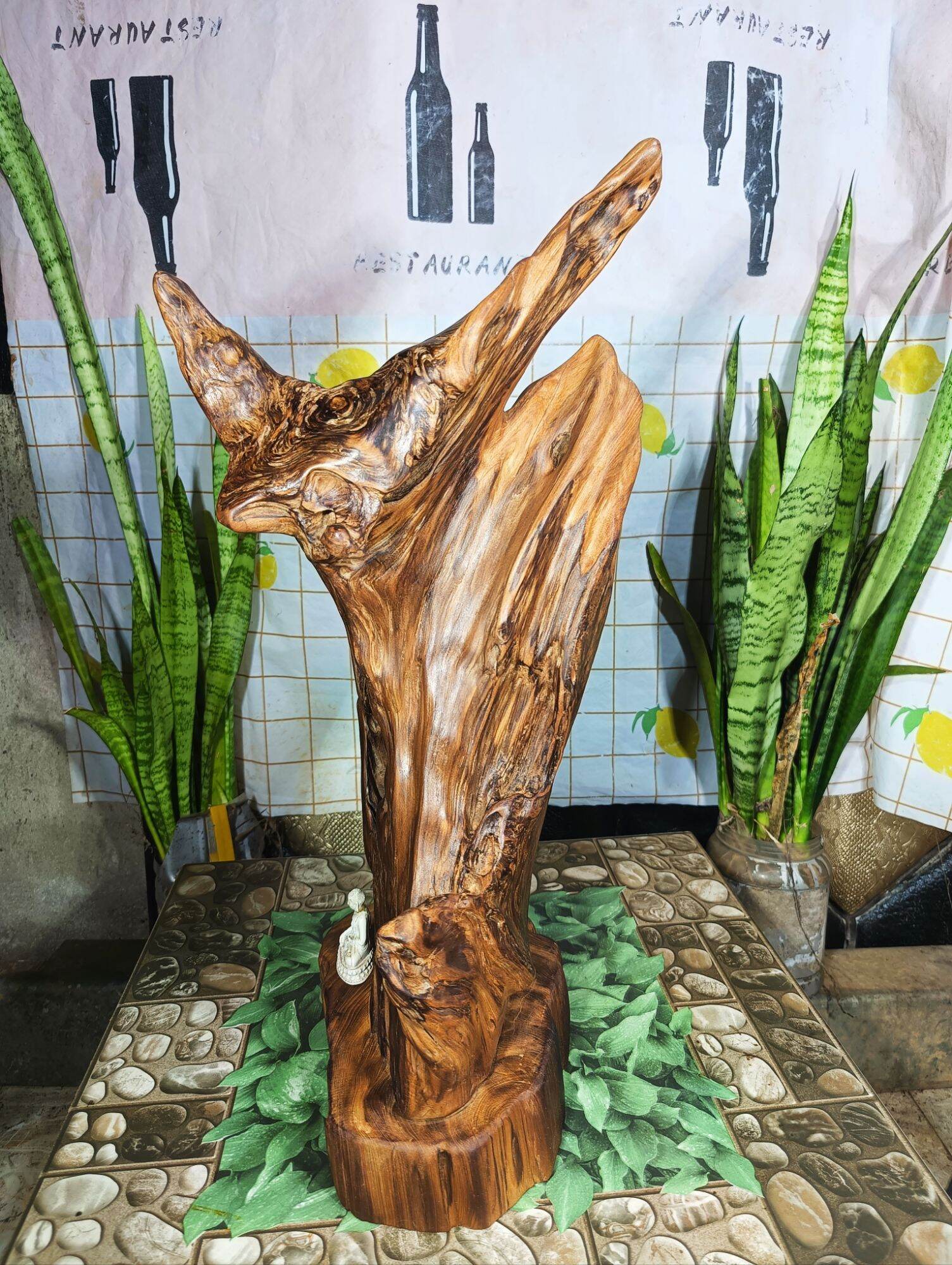 lũa ngọc am đỏ hà giang, hàng rễ nhiều dầu