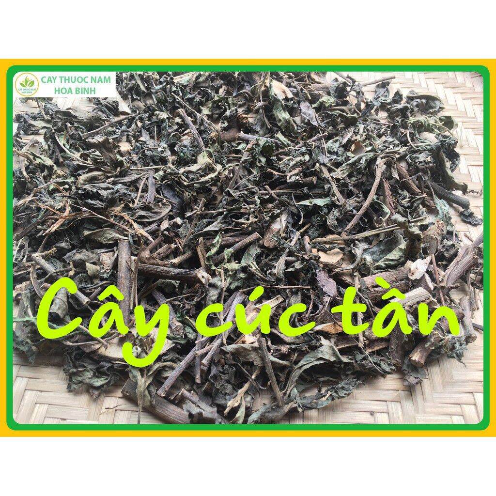 1kg cây cúc tần