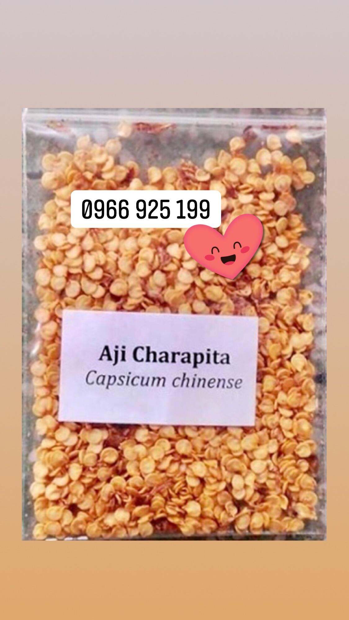 20 hạt giống thuần chủng ớt Aji charapita hay ớt peru