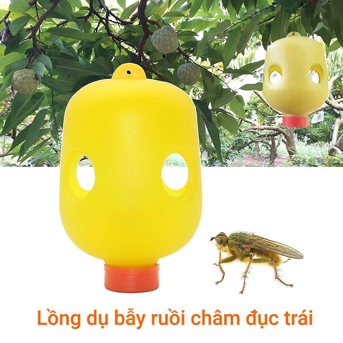 Đèn bẫy, lồng dẫn dụ ruồi vàng đục trái