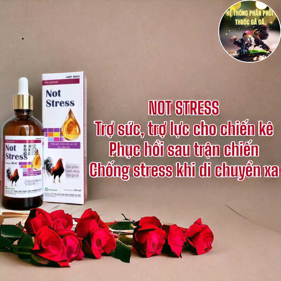 THUỐC GÀ ĐÁ NOT STRESS ĐIỆN GIẢI NHÂN SÂM CAO CẤP SIÊU ĐẬM ĐẶC CHO GÀ ĐÁ 100 ML