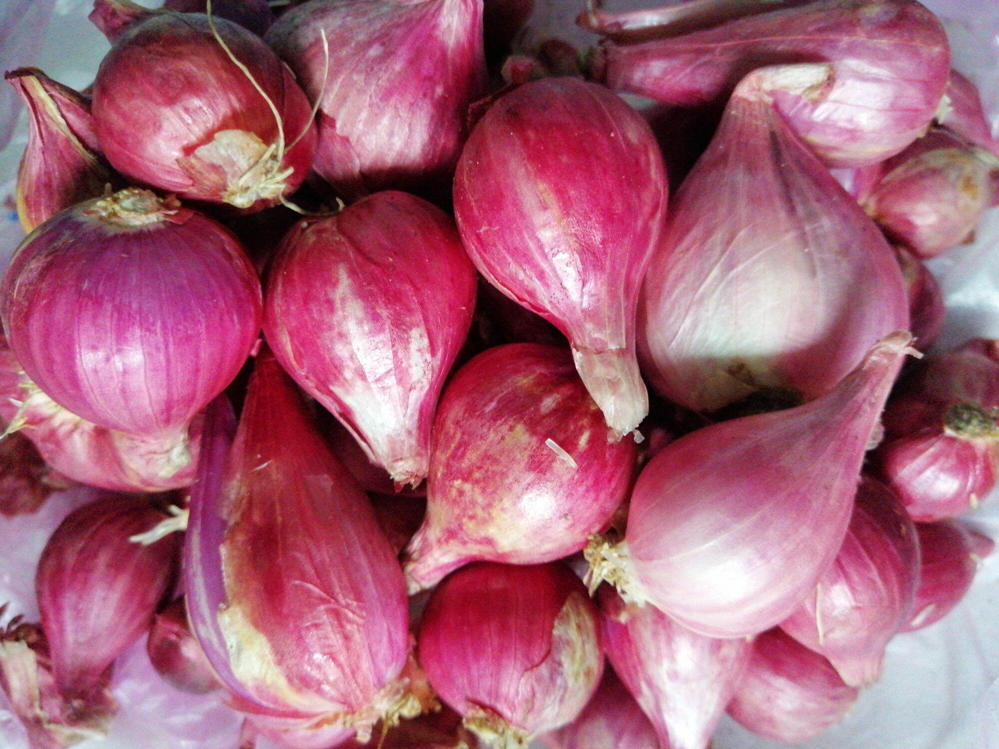 1kg hành củ tím, hành hương (đảo lý sơn  loại 1 củ to)