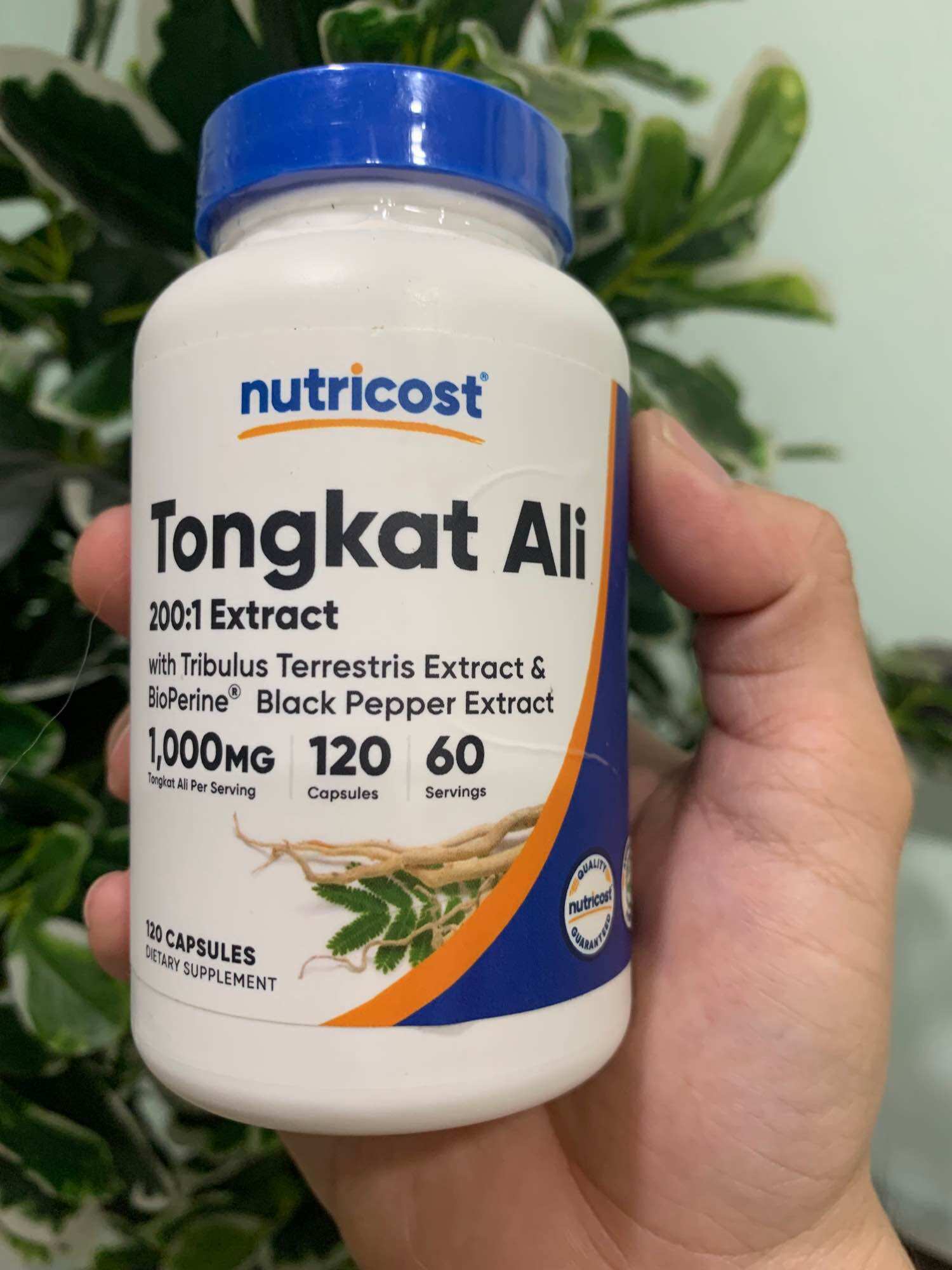 Nutricost Tongkat Ali – Hỗ trợ sức khỏe si nh s ả n, t ă ng khả năng vận động - SẢN PHẨM RẤT CHẤT LƯỢNG, SHOP CHỌN LỌC KĨ TRƯỚC KHI ĐẾN TAY KHÁCH HÀNG, HÀNG CHUẨN ĐẢM BẢO ĐƯỢC ƯA CHUỘNG TRÊN THỊ TRƯỜNG
