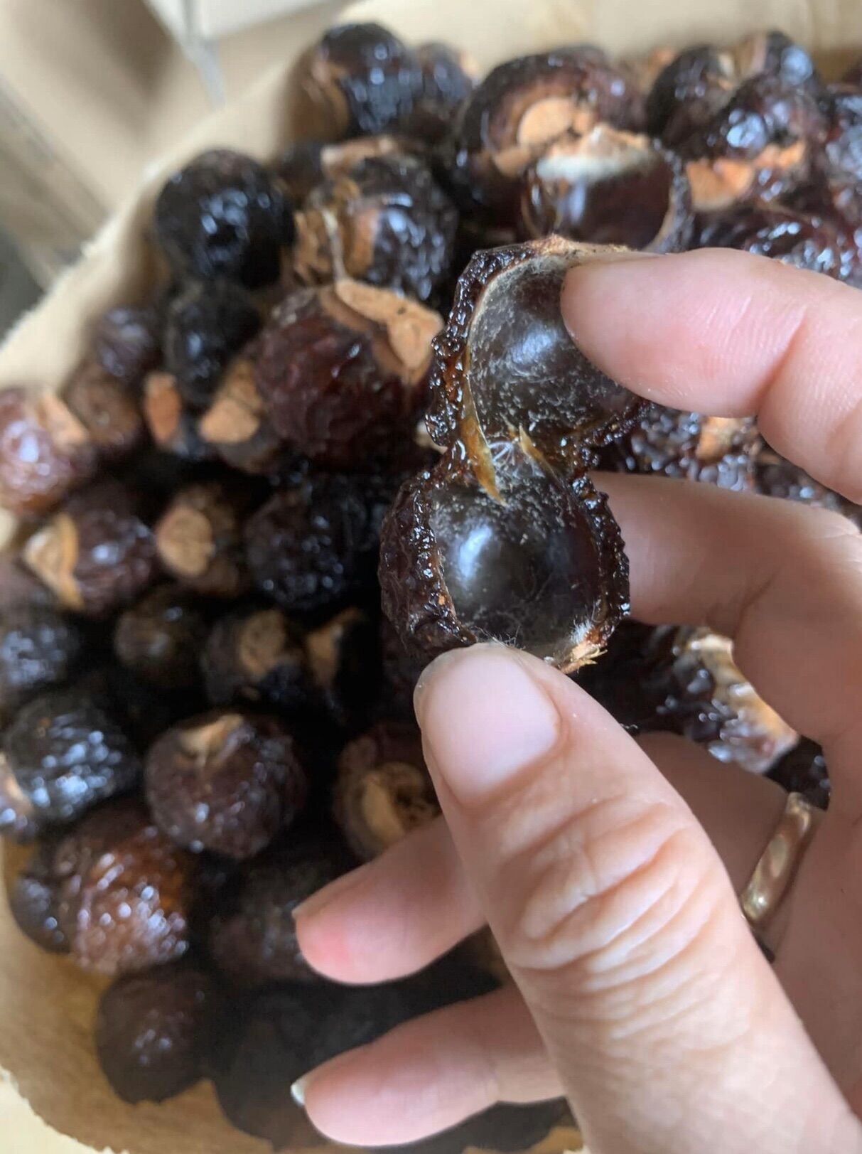 Bồ hòn tách hạt 1kg