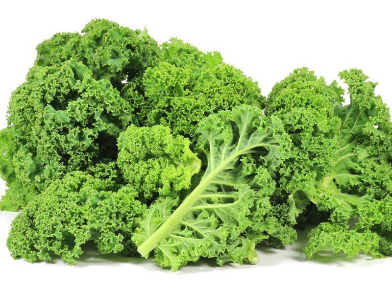 Hạt Giống cải Kale Xanh - Kale tím - Kale Khủng Long