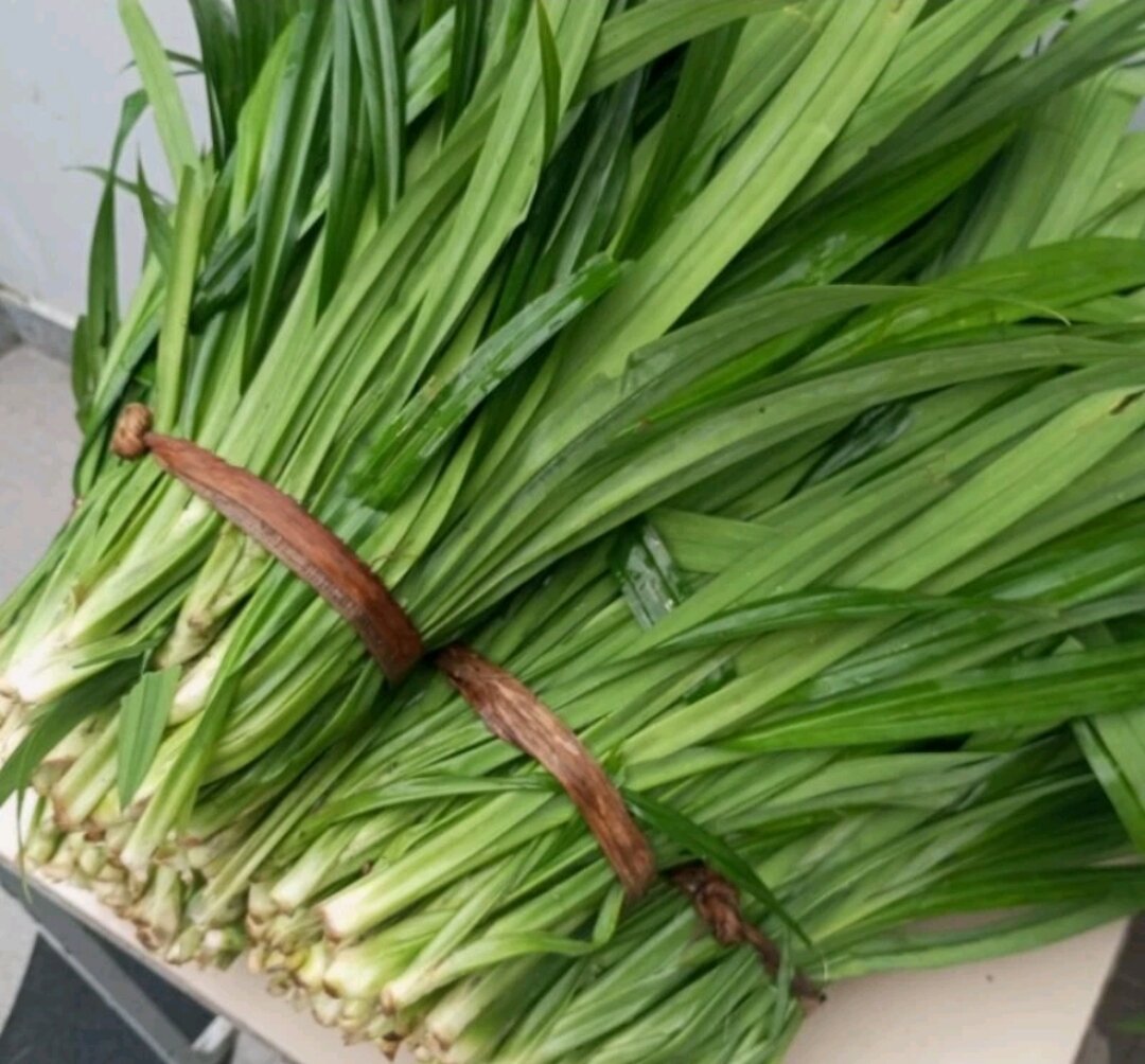 Lá dứa thơm - lá nếp - tươi, sạch, 1kg