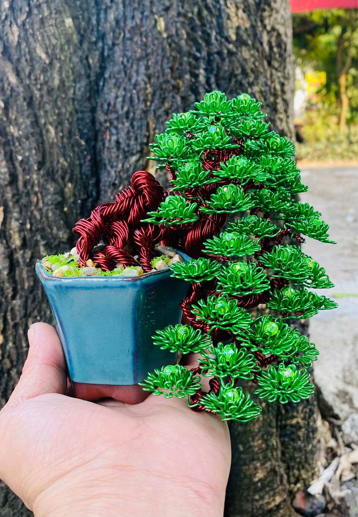 Cây bon sai uốn thủ công, Cây bon sai nghệ thuật, Cây bon sai để bàn làm việc