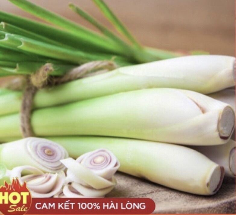 Cây sả tươi Củ Chi Nhà trồng