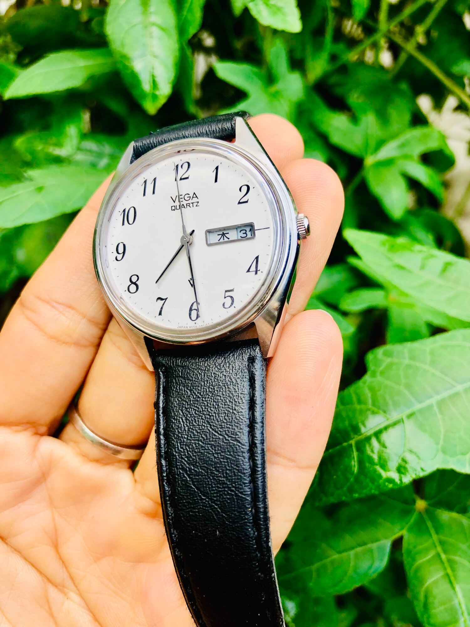 Đồng Hồ Nam VEGA QUARTZ Chính Hãng Nội Địa Nhật Đồng Hồ Si Nhật