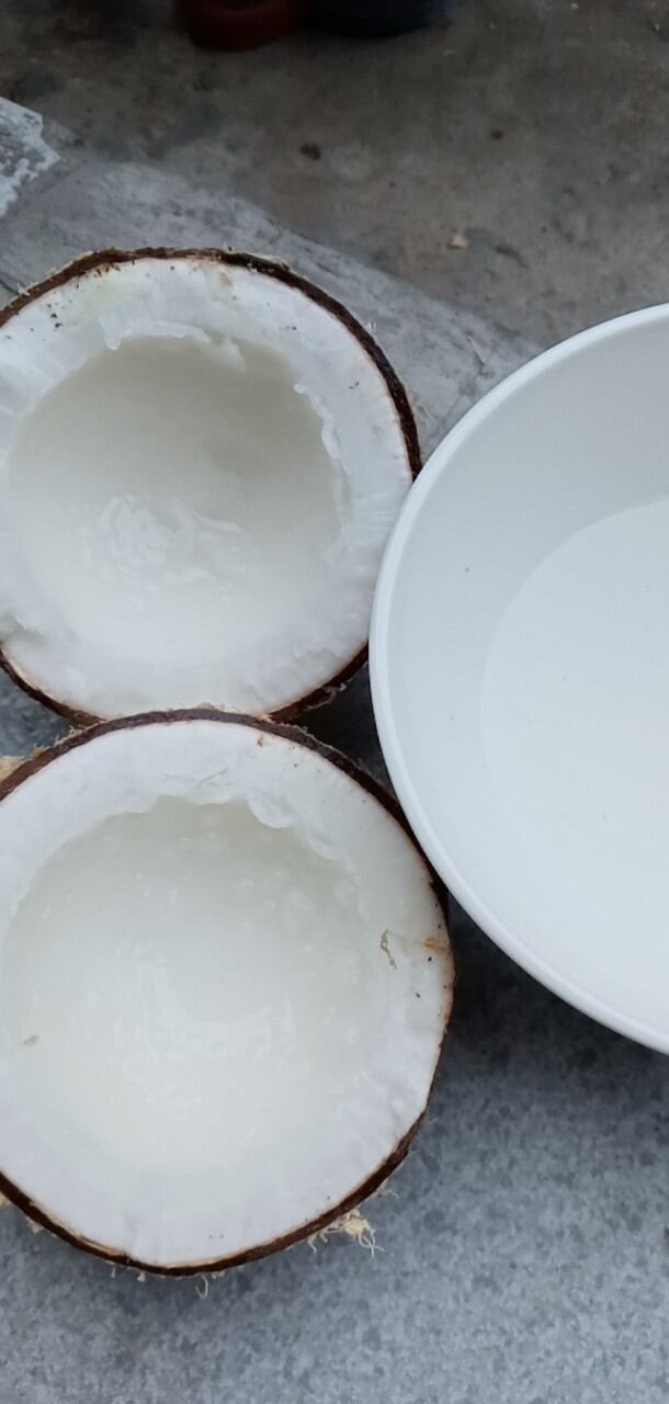 Dừa Sáp Đặc Sản Cầu Kè Trà Vinh ( Loại 3)