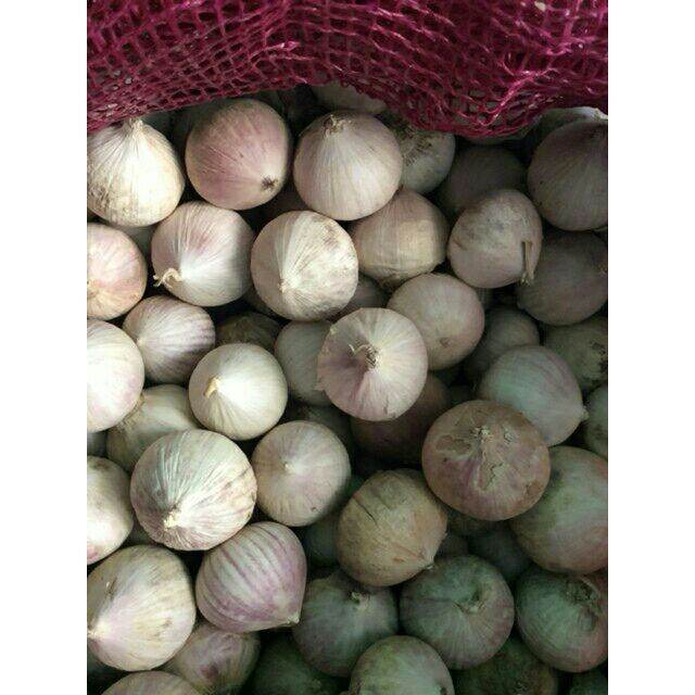 Combo 2kg tỏi cô đơn