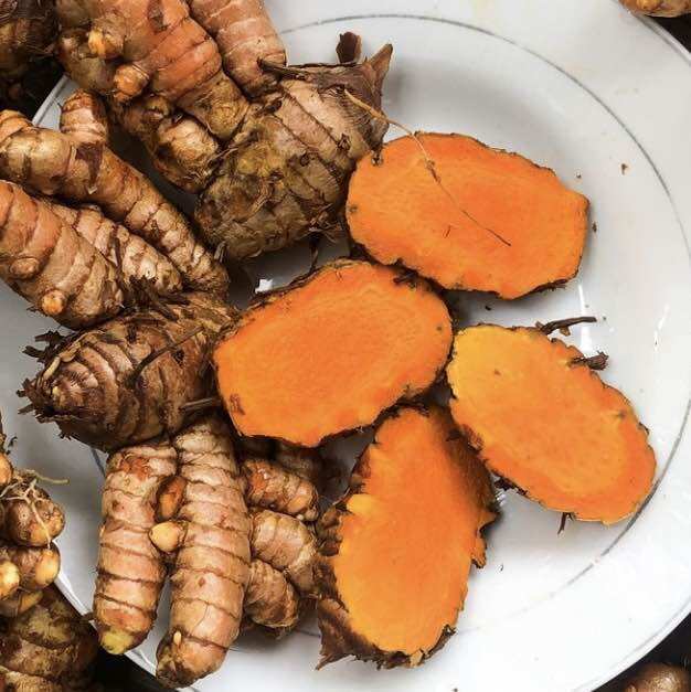 Củ Nghệ Tươi Vùng Thất Sơn 1kg