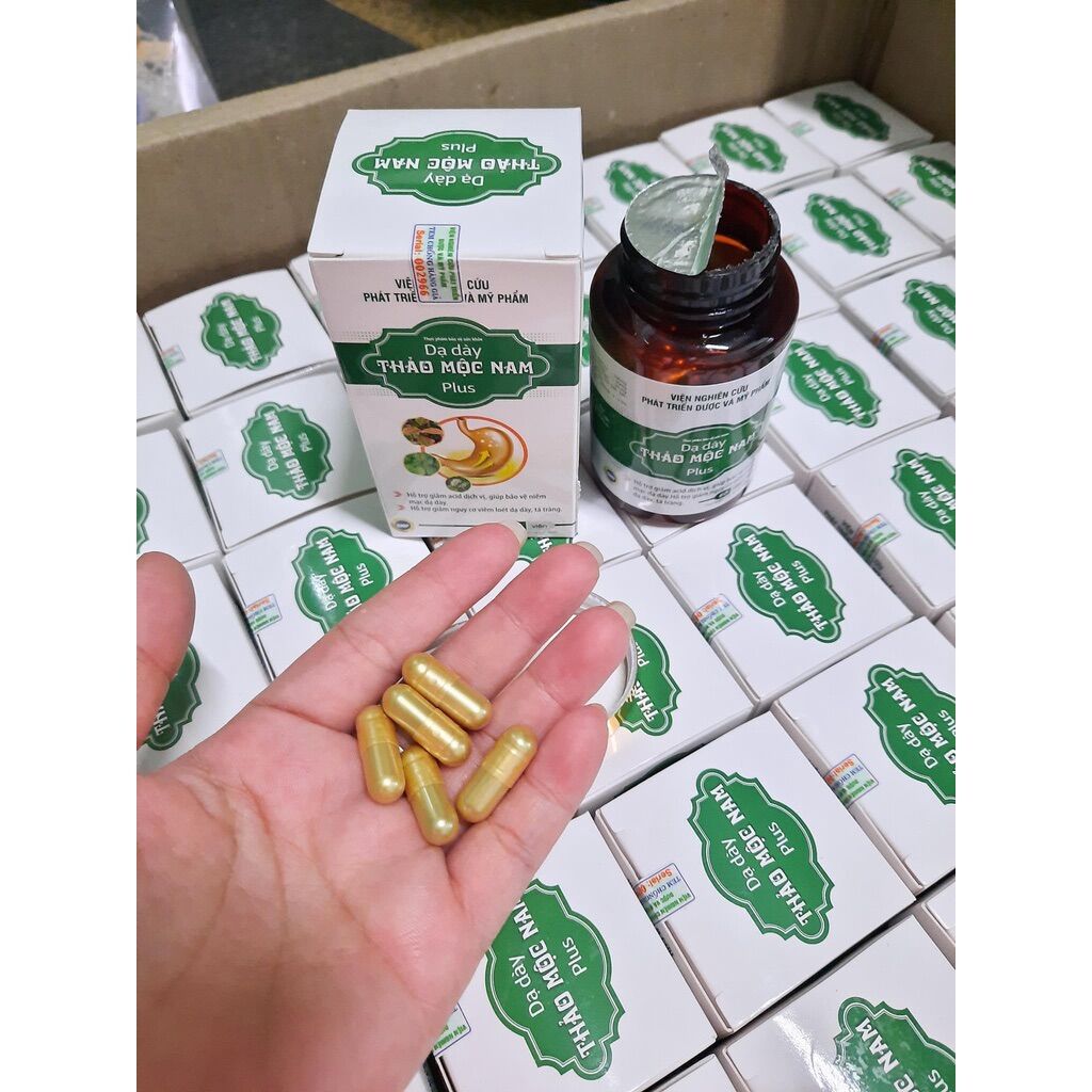 Dạ dày thảo mộc nam