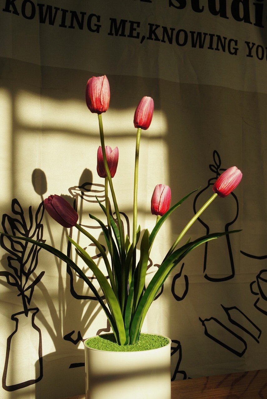 Chậu hoa tulip giả, chậu hoa để bàn, chậu hoa tulip, hoa tulip