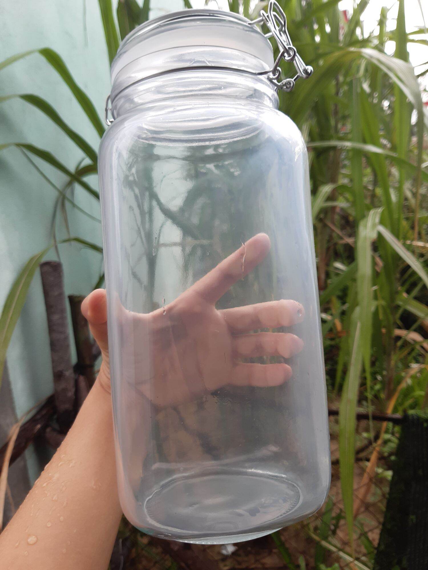 Hủ thủy tinh nắp gài 2L vuông 100k